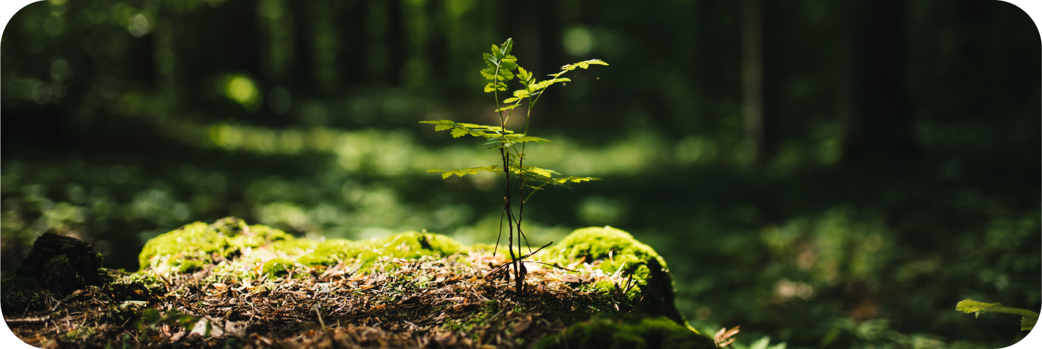 상신종합식품 컬러 시스템 이미지